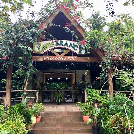 Ian Anderson Caves Branch Jungle Lodge Бельмопан Экстерьер фото