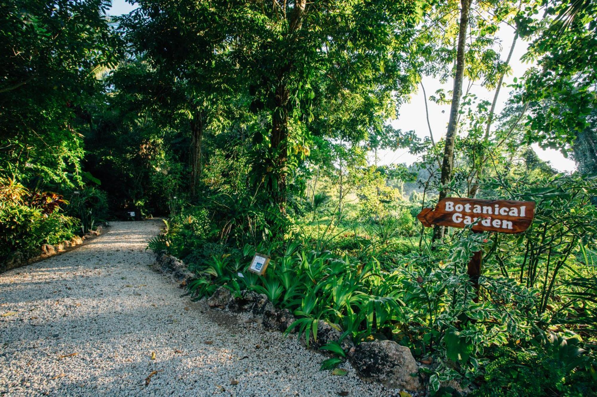 Ian Anderson Caves Branch Jungle Lodge Бельмопан Экстерьер фото