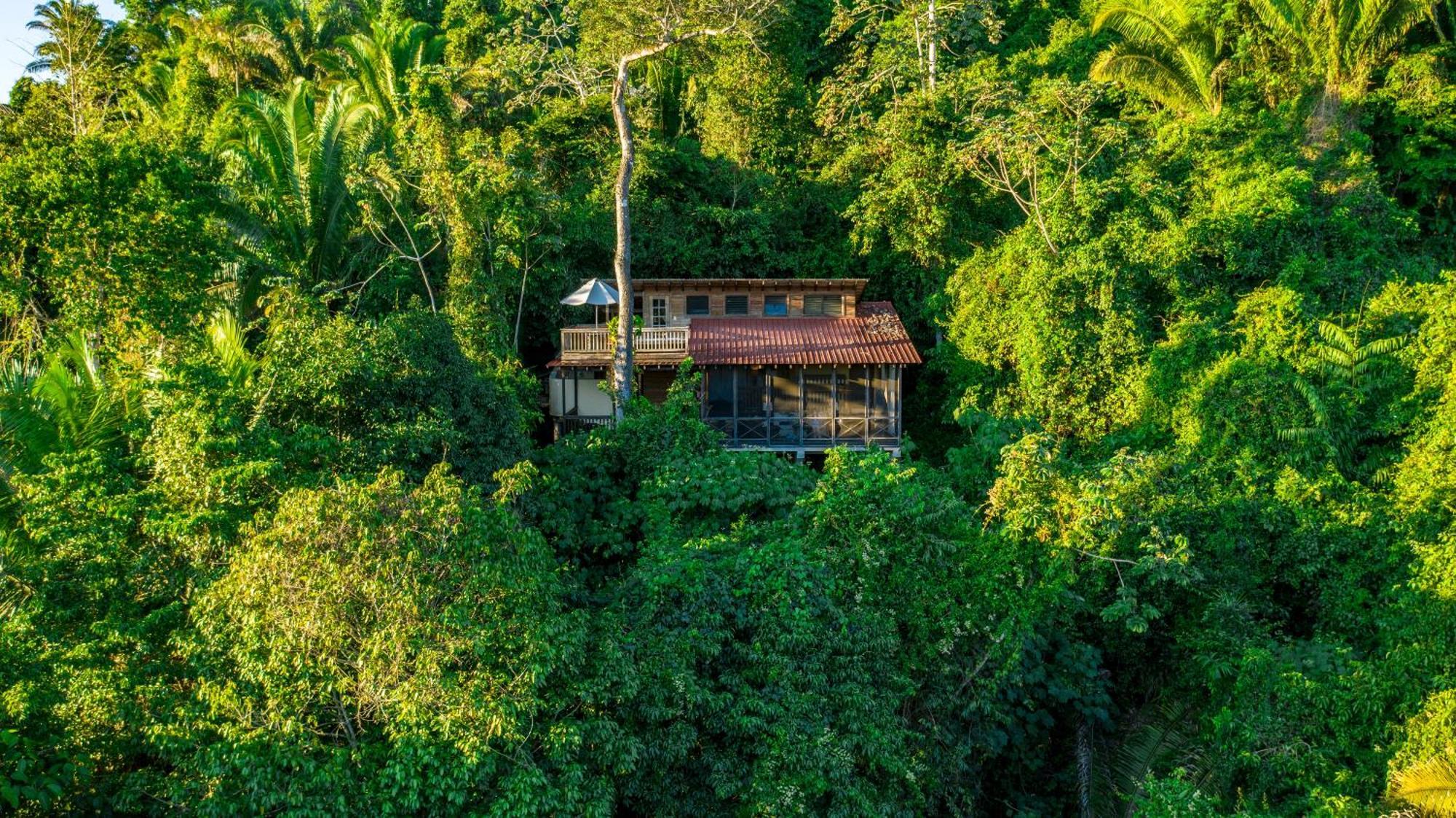 Ian Anderson Caves Branch Jungle Lodge Бельмопан Экстерьер фото